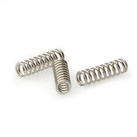 Spare spring (1203062)
