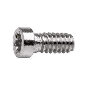 Screw hinge steel silv. 1.4 - 3.9 TX4 100 pcs