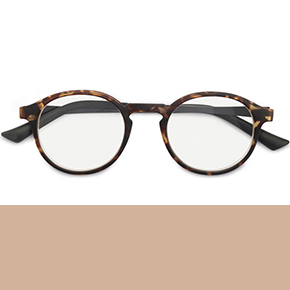 Ready reader TAPIR 46-22